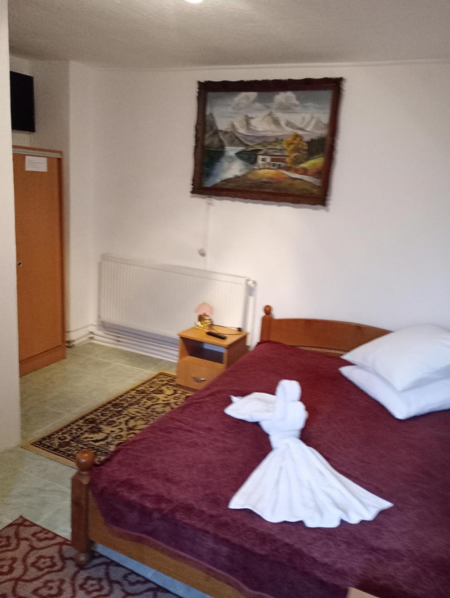 Pensiunea Irina 3 Zărneşti 外观 照片