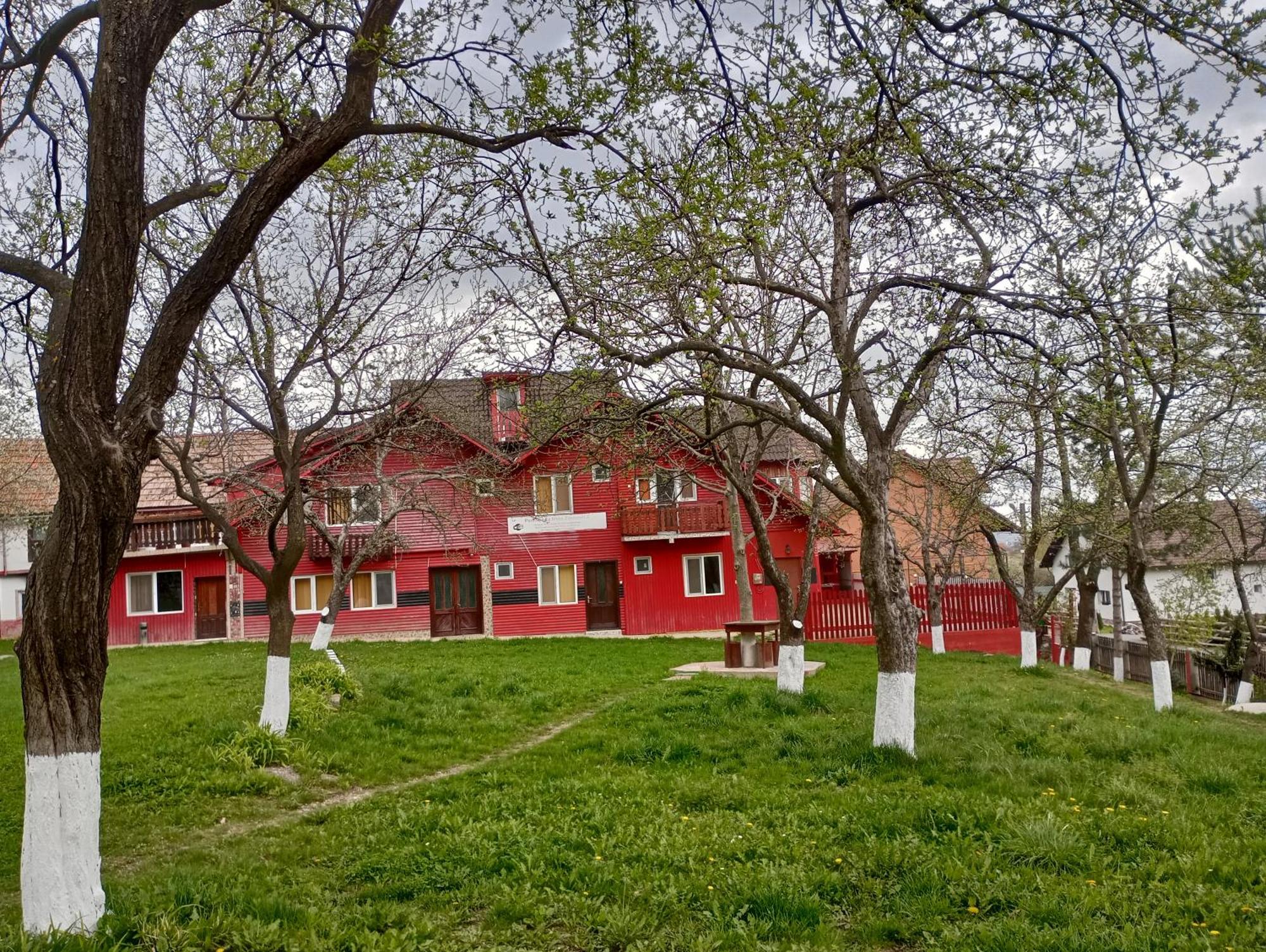 Pensiunea Irina 3 Zărneşti 外观 照片